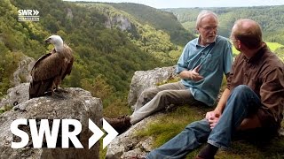 Spuren im Stein  Die Geschichte der Schwäbischen Alb  SWR Geschichte amp Entdeckungen [upl. by Haukom860]