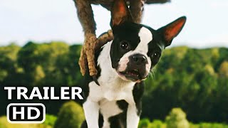 STRAYS Trailer 2 2023 Will Ferrell Jamie Foxx [upl. by Eidahs]