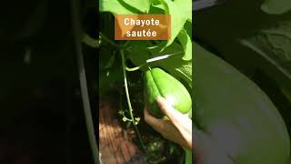 Une chayote sautée en 3 minutes la joie la vie shorts [upl. by Tuddor]