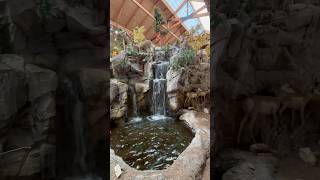 Cabela’s ❤️☀️cabelas bassproshop asmr [upl. by Ellerahs]