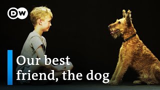 Dogs amp us  The secrets of an unbreakable friendship  DW Documentary [upl. by Adnarem59]