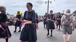 Sidmouth Folk Festival 2024  Saturday Procession [upl. by Barram989]