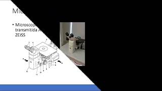 Metalografía y uso de Microscopia [upl. by Gaw]