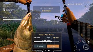 Fishing Planet Unique Clear Muskie Saint Croix Lake [upl. by Chen386]