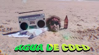 2 Agua de Coco ft Mikelodium 🥥💦 The Summer of the Dolphin [upl. by Ollecram]