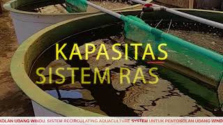 Sistem Recirculating Aquaculture System RAS  Proyek Perubahan [upl. by Anigal]