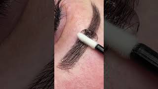 EYEBROW LAMINATIONS AT HOME  EYEBROW WAXING TUTORIAL  shorts shots short shortsfeed viral [upl. by Vena626]