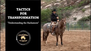 Understanding the Hackamore by Richard Winters amp Weaver Leather [upl. by Ahsratal]