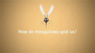 Parakito  How mosquitoes spot us [upl. by O'Dell]