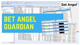 Betfair trading software  Bet Angels amazing Guardian feature [upl. by Trevah]