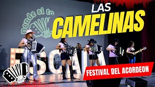 Las Camelinasquot Festival del Acordeón 2024 [upl. by Ahseryt186]