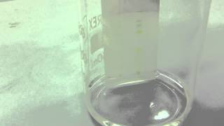 Chromatography of chlorophyll from grass [upl. by Iggy]