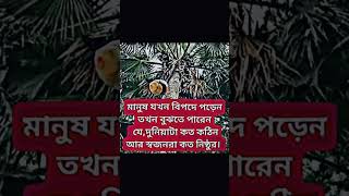 আপন মানুষ বোঝা বড় দায়।। 🤢🤢🥵🥵😳😳🙄🙄youtubeshorts foryou rakibhossainshorts5551 shorts [upl. by Soll]