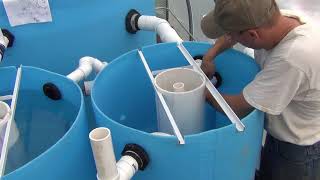 Big Aquaponic Greenhouse  Part 14  Mineralisation Tank [upl. by Soni816]