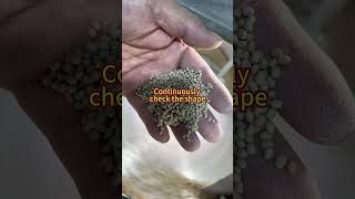 Seed pellet treatment is a new agricultural technology machine coater seed vegetables agro [upl. by Auqinot]