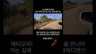 🇪🇹🇪🇹 에티오피아 접시 부족을 만나러 가는 길에 생긴 일 [upl. by Ryle551]