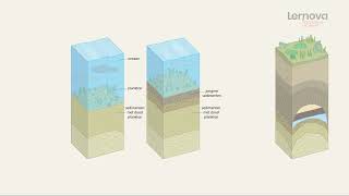 Animatievideo over het ontstaan van aardolie  Lernova chemie [upl. by Sale681]