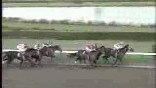 1992 Breeders Cup Classic [upl. by Court]