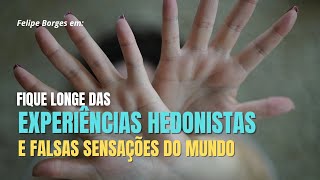 FIQUE LONGE DAS EXPERIÊNCIAS HEDONISTAS  Felipe Borges fy jesus [upl. by Par655]