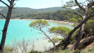 Ile de Porquerolles  ProvenceAlpesCôte dAzur  France [upl. by Elbertine]