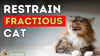 How To Restrain a Fractious Cat and Trim Cat Nails [upl. by Mulligan]