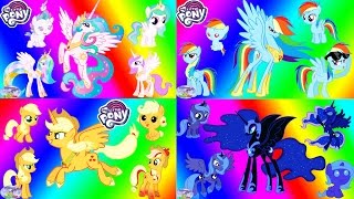 My Little Pony Transforms from Baby to Alicorn Princess Surprise Egg and Toy Collector SETC [upl. by Yared]