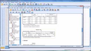 Conducting a TwoWay ANOVA in SPSS [upl. by Bel]