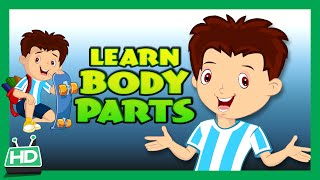 Body Parts for Kids Learning  Human Body Parts for Kids  KIDS HUT [upl. by Erickson454]