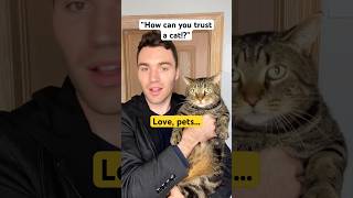 How To Trust A Cat 😂 [upl. by Dekeles]