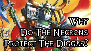 Why Do The Necrons Protect The Diggas  40K Theories [upl. by Lilak]