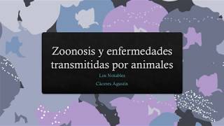 Zoonosis y Enfermedades transmitidas por Animales  Los Notables  Parte 1 [upl. by Trilbie879]