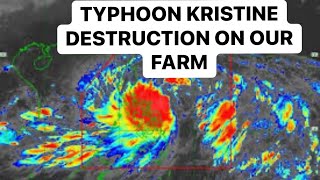 SUPER TYPHOON KRISTINE DAMAGED ON THE FARM  PHILIPPINES 🇵🇭 TYPHOON [upl. by Jerroll]