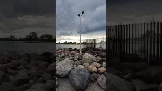 OneWheeling in Sarnia Canada [upl. by Massimiliano]