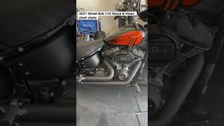 2021 Street bob 114 with Vance amp Hines short shots exhaust [upl. by Lledyr282]