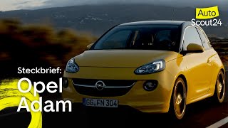 Steckbrief Opel Adam [upl. by Roter]