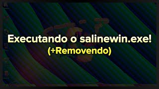 REMAKE EXECUTANDO O SALINEWINEXE REMOVENDO [upl. by Fernand517]