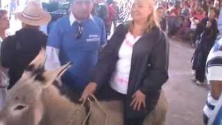 Feria del Burro en Otumba 2014 [upl. by Millicent]