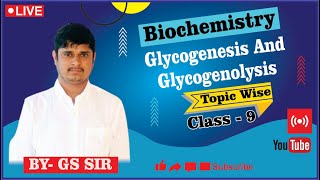 Reaction of Glycogenesis  Glycogenolysis Pathway  Reaction of Glycogenolysis  By GS Sir [upl. by Nerwal391]