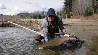 Trophy Steelhead at Kitimat River in Canada [upl. by Cirdek629]