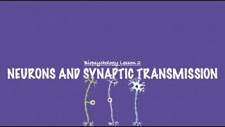 ALevel Psychology AQA Neurons and Synaptic Transmission UPDATE [upl. by Kramal]