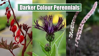 Garden Noir Embrace the Dark Side with These 8 Stunning Perennials [upl. by Meldoh713]