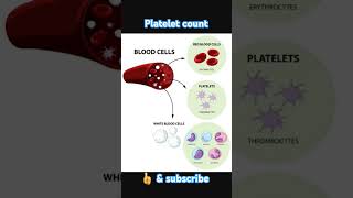 Normal range of platelet count science body human anatomy physiology [upl. by Ahkihs]