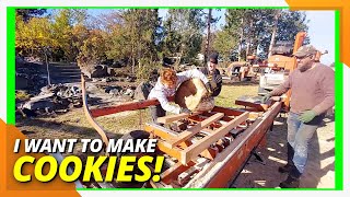 Sawmilling Firewood into Awesome Birch Cookies for Woodworking sawmill woodmizer [upl. by Margery]