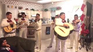 Hermoso cariño Mariachi Nuevo Internacional de Dallas tx 6822032083 [upl. by Atonsah]