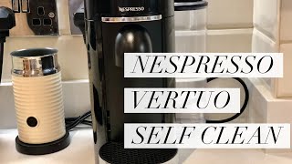 How To Clean Your Nespresso Vertuo [upl. by Swihart]