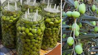 COME PREPARARE LE OLIVE VERDI IN SALAMOIA fatte in casa Ricetta di famiglia [upl. by Yerfoeg]