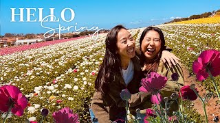 chuck e cheese flower fields amp hot pot night  VLOG [upl. by Yremogtnom]