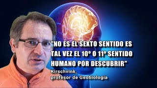 Descubren que tenemos SENTIDO MAGNÉTICO el cerebro es sensible al campo magnético terrestre [upl. by Mij]