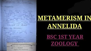 Metamerism in annelida bsc 1st year zoology zoology bsczoology vbu bbmku skmu zoologynotes [upl. by Renard]