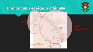 M3 Neuroradiologie à liECN Territoire vasculaire [upl. by Nahum387]